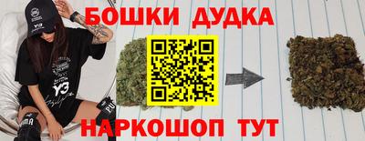 гидропоника Сланцы