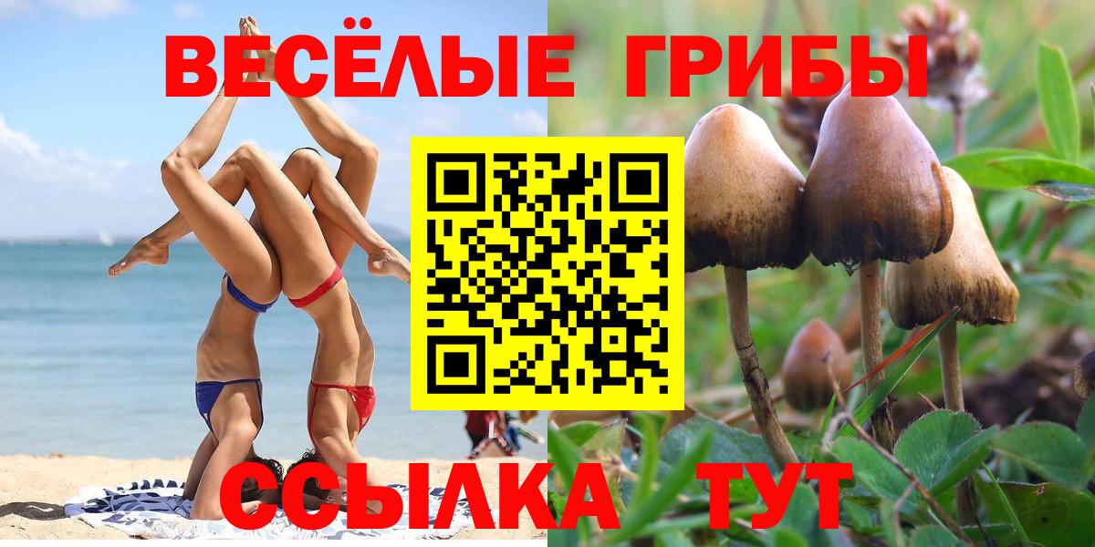 Псилоцибиновые грибы прущие грибы Белово