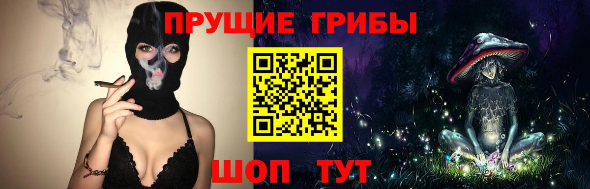 Белово  Псилоцибиновые грибы Psilocybe  Вход с VPN 